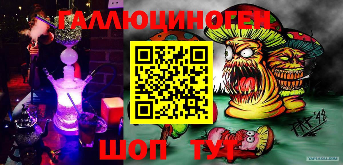 Галлюциногенные грибы Psilocybine cubensis Анжеро-Судженск